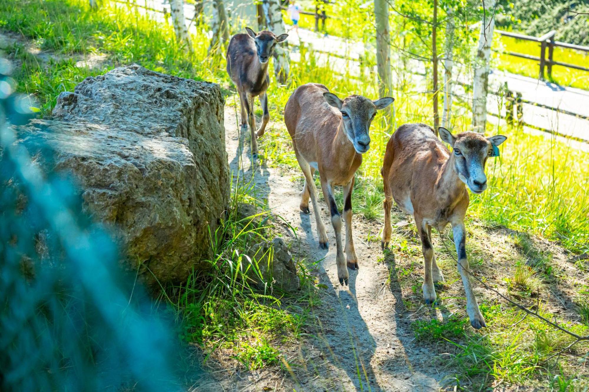 Noclegi Jurapark Krasiejow Esterno foto